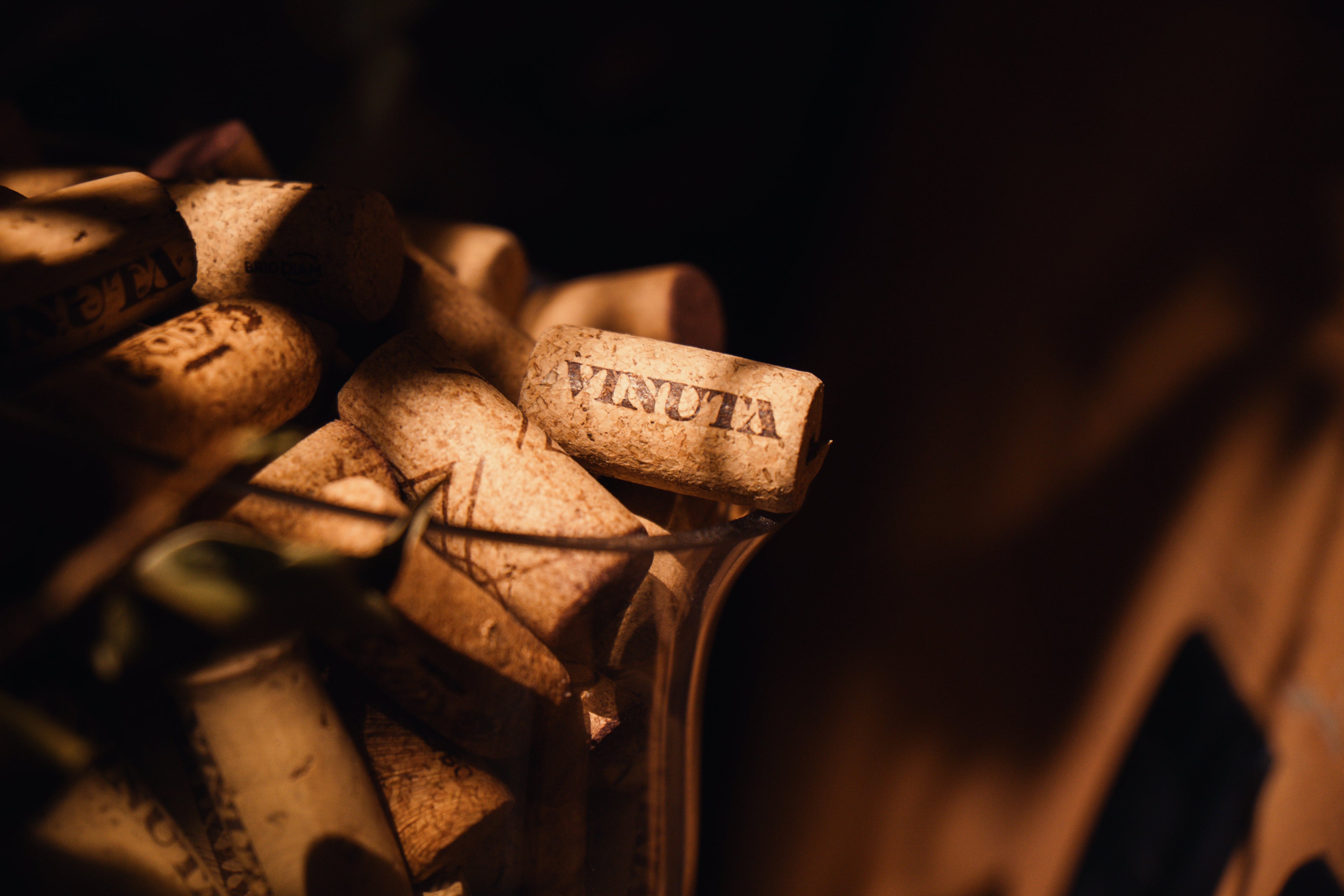Aprender sobre vinho muda sua experiência