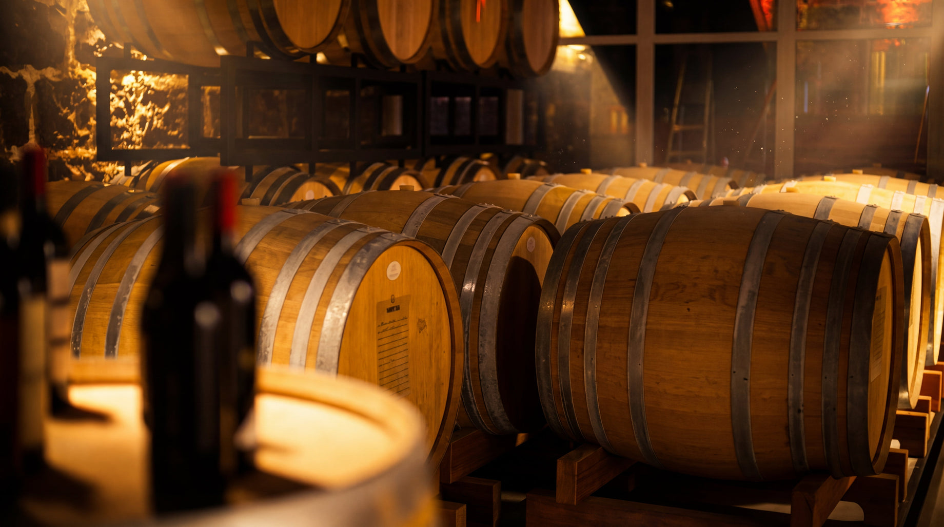 Vinho de Guarda: Arquitetura, Tempo e Transformação