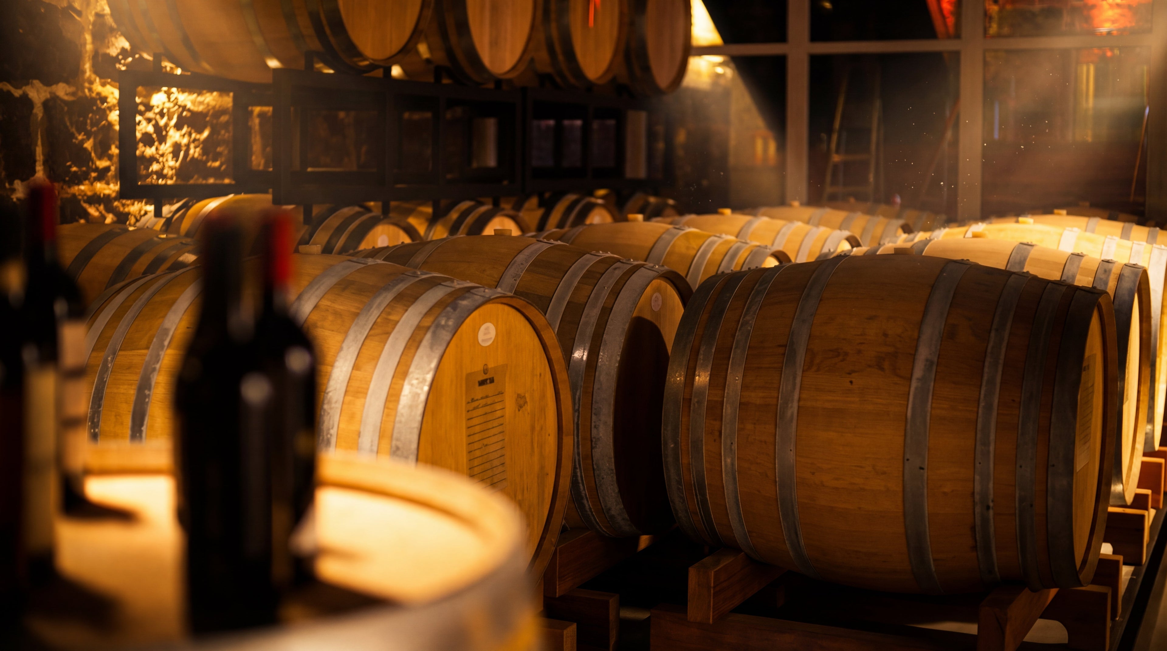 Vinho de Guarda: Arquitetura, Tempo e Transformação